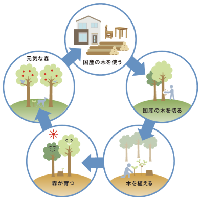 構造 注文住宅なら広島建設のセナリオハウス