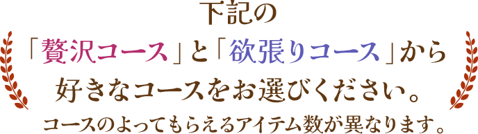 下記の「贅沢コース」と「欲張りコース」から好きなコースをお選びください。コースのよってもらえるアイテム数が異なります。