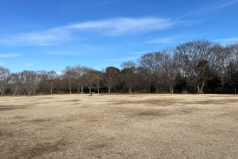 青葉の森公園